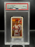 Masyn Winn 2024 Topps 206 New Beginnings (RC) PSA 10 Gem Mint